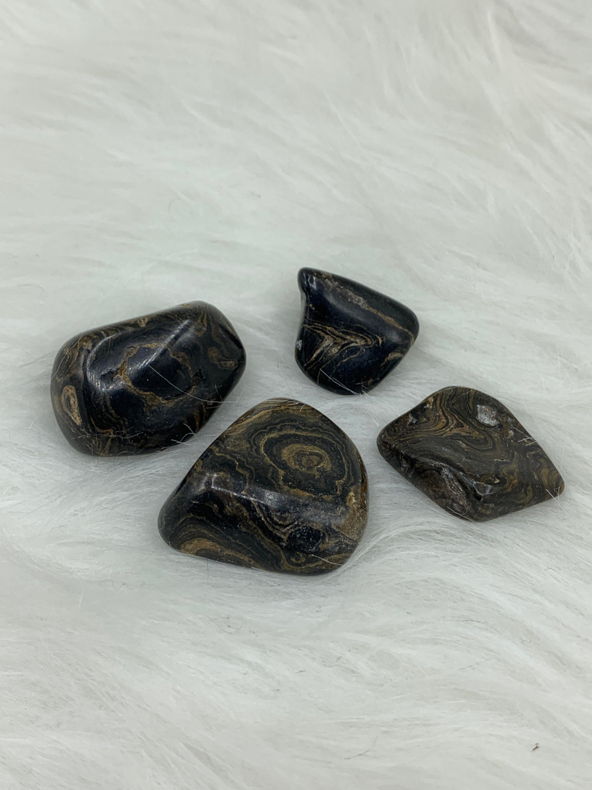 Stromatolite - Tumbled