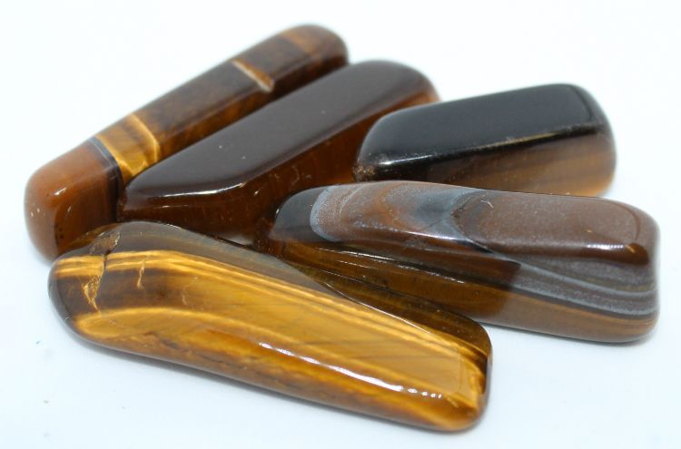 Tiger Eye Flat - Medium