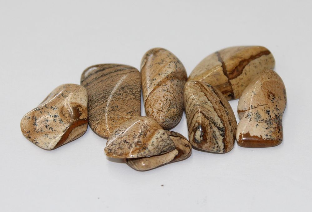Picture Jasper A