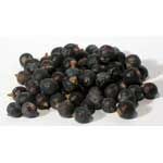 Juniper Berries - Whole (1 oz)