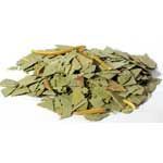 Eucalyptus Cut - 1oz