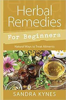 Herb Remedies for Beginners