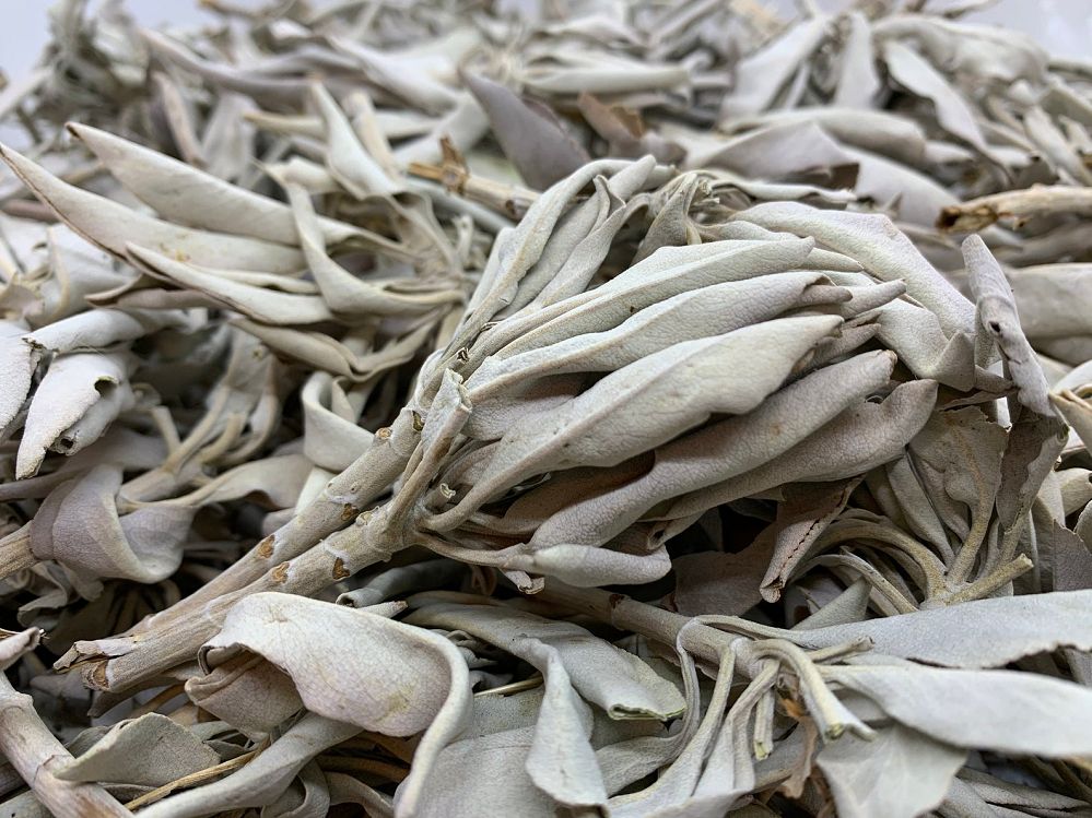 Loose White Sage (1 oz)