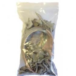 White Sage Smudge w/shell