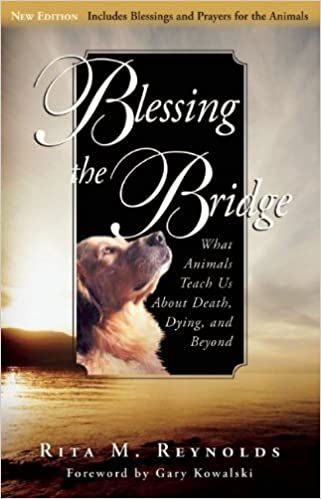 Blessing The Bridge - Rita M. Reynolds
