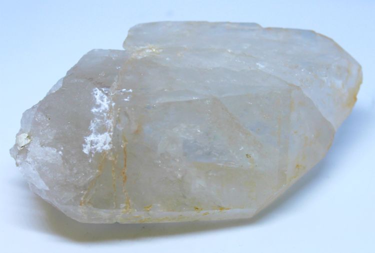 Golden Healer Lemurian - Large
