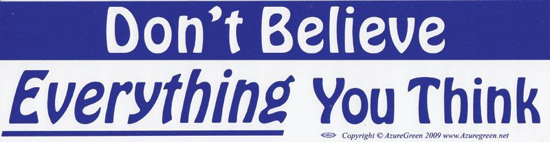 Don't Believe Everything - Bumper Sticker