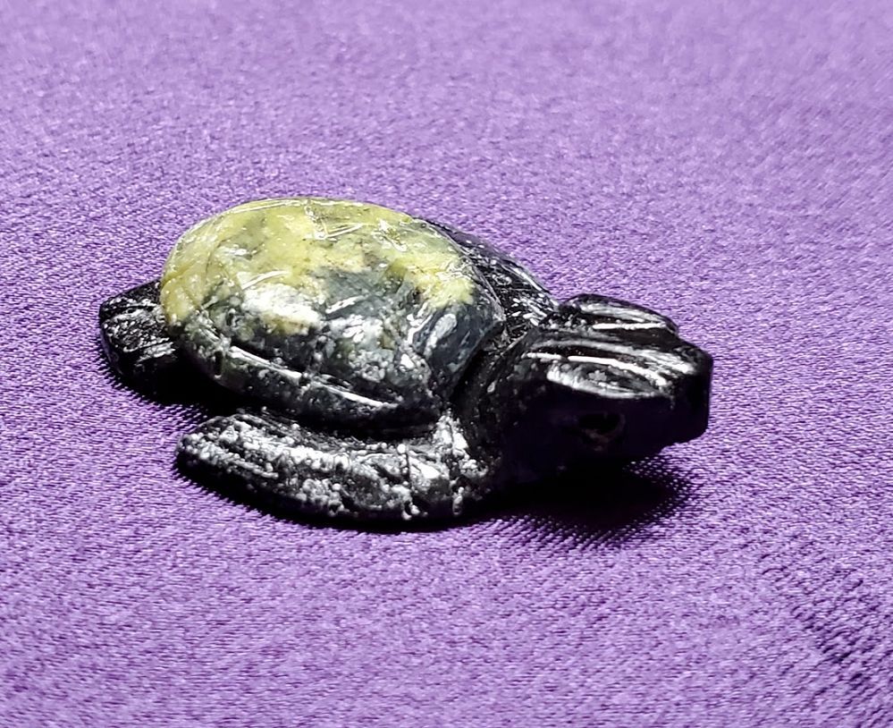 Septairian Turtle Small