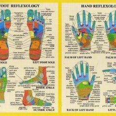 Hand & Foot Reflexology Chart