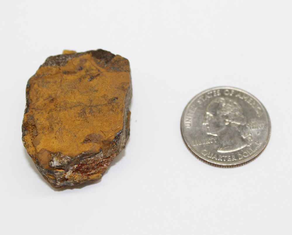 Tigers Eye Rough Medium