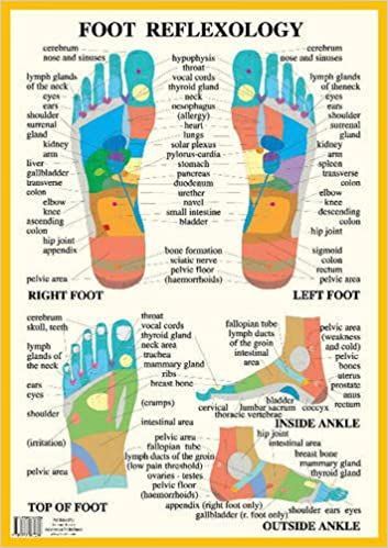 FOOT REFLEXOLOGY (8-1/2" x 11";