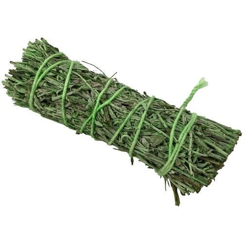 Patchouli Sage (4")