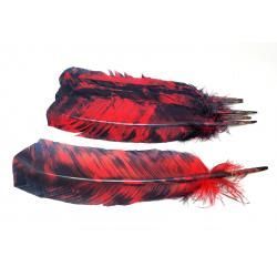 Smokey Red Feather