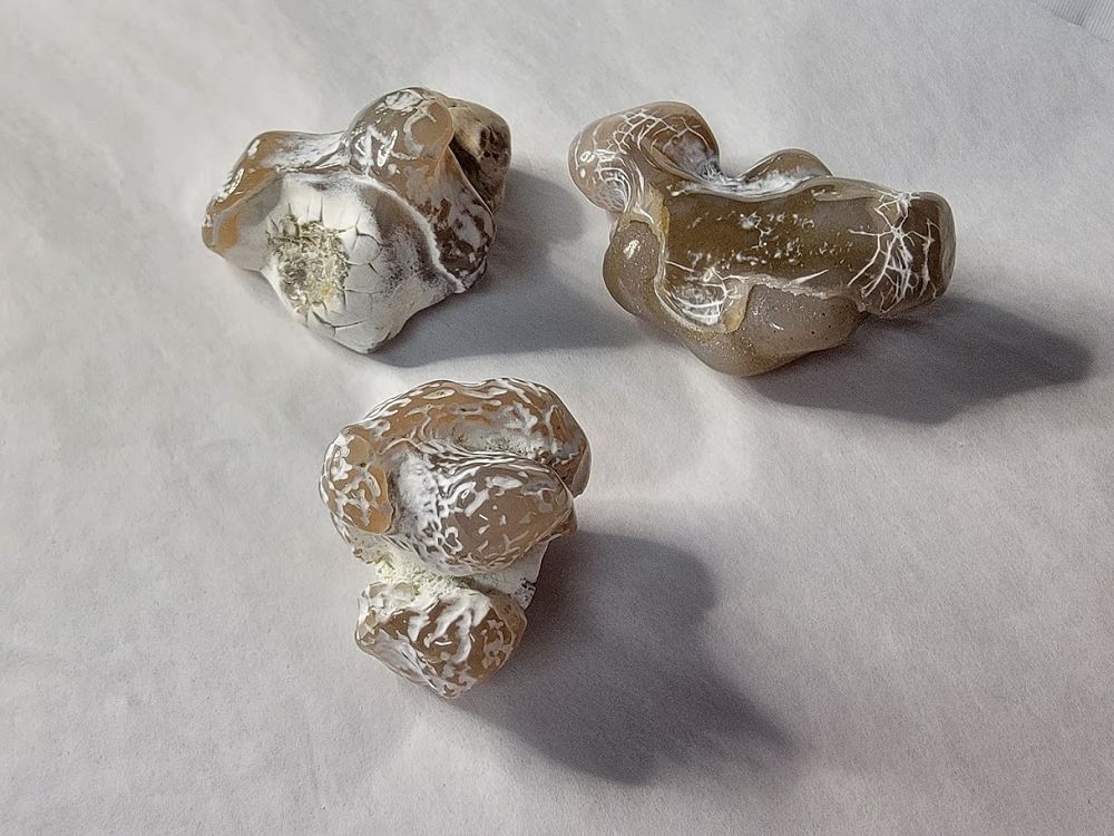 Snakeskin Agate XL