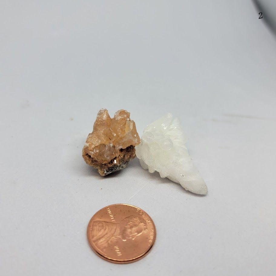 Coral Calcite xs
