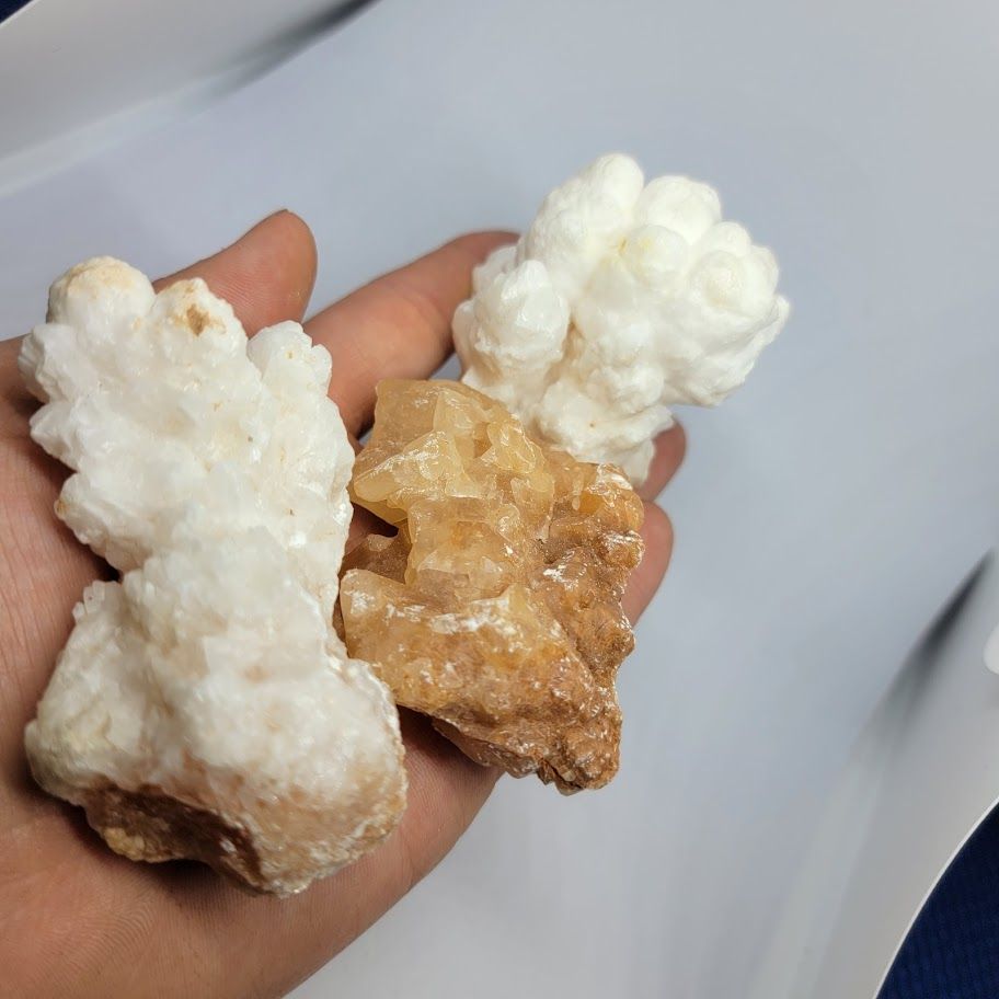 Coral Calcite med