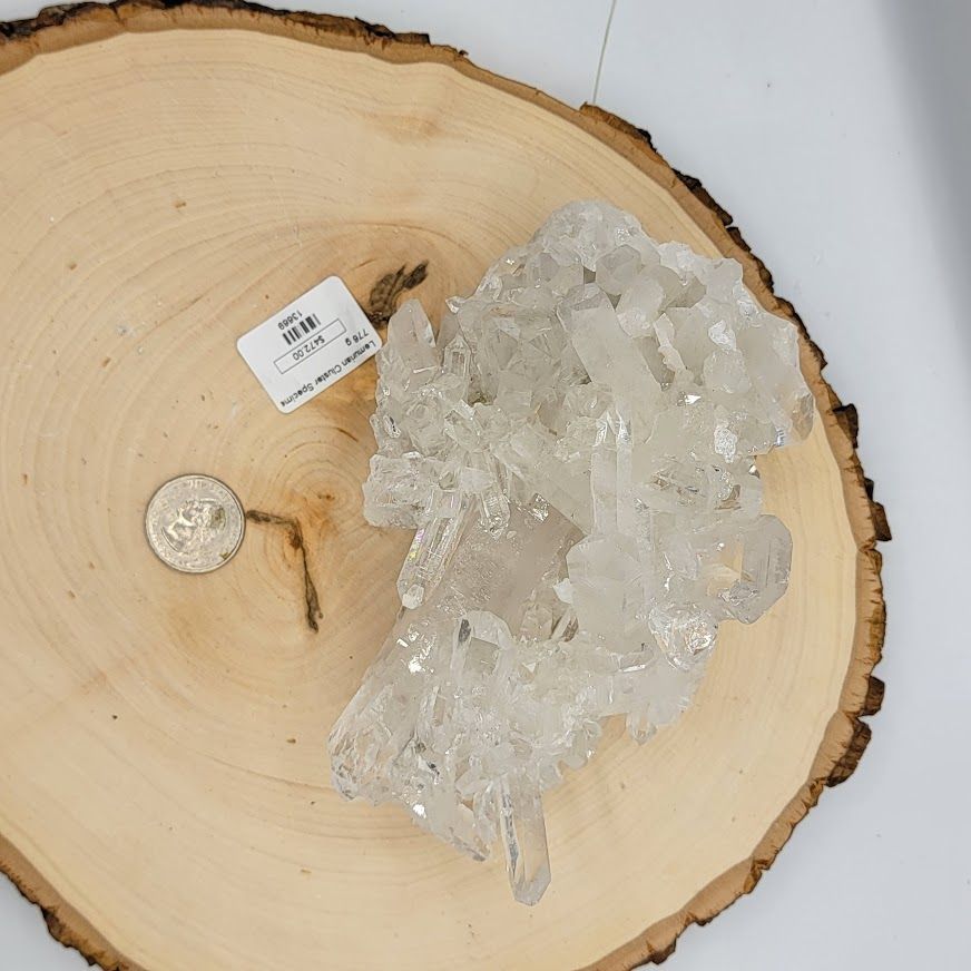 Lemurian Cluster Specimen (776g)