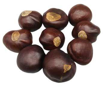 Buckeyes - Whole (1oz)