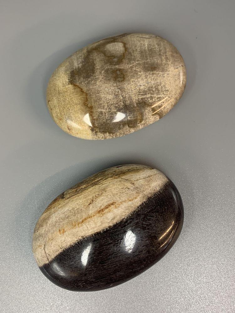 Petrified Wood Palm Stone