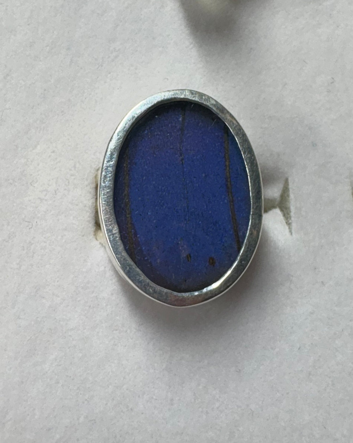 Blue Morpho Butterfly Ring - Size 5