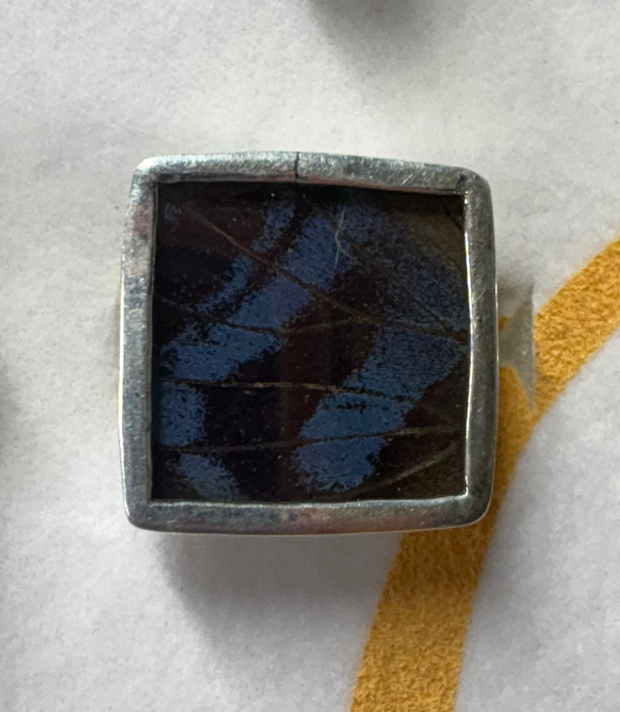 Mexican Bluewing Butterfly Square Ring - Size 6