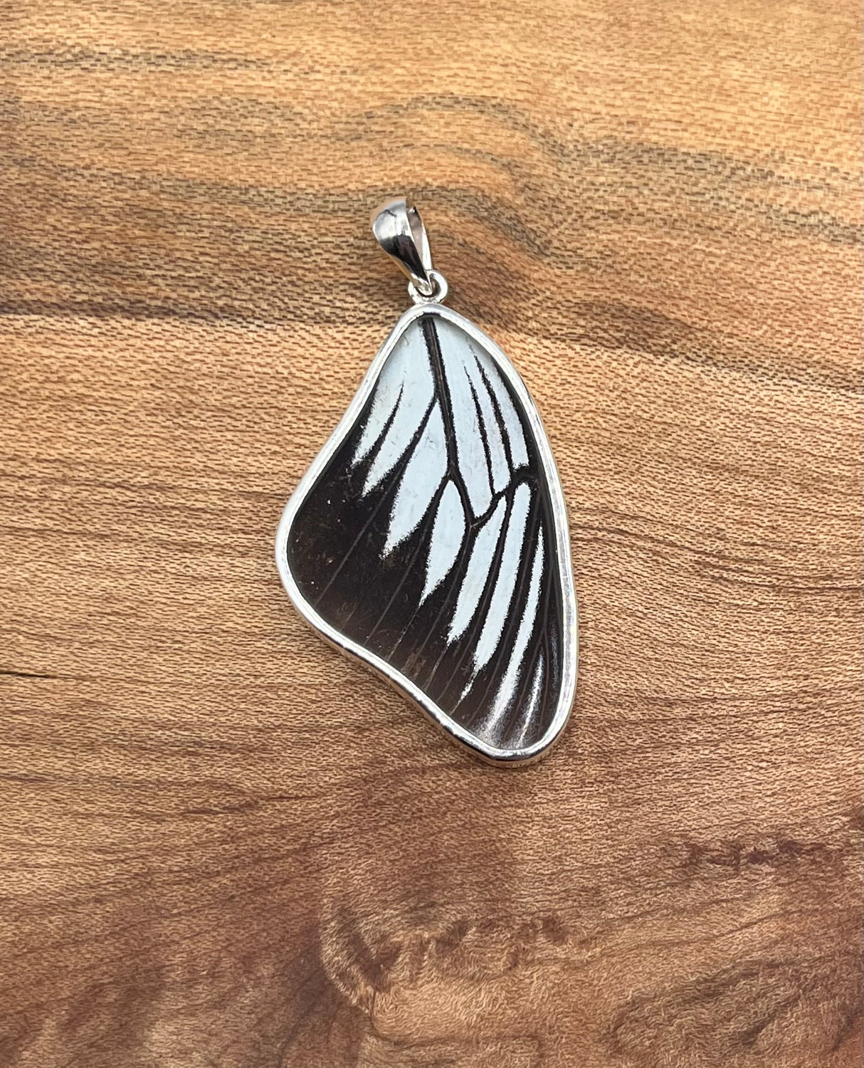 Blue Wanderer Butterfly SS Pendant