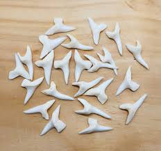 Baby Shark Teeth 5-pc