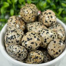 Large Dalmatian Jasper Tumbled