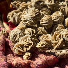 Desert Rose Selenite w/ Sandstone