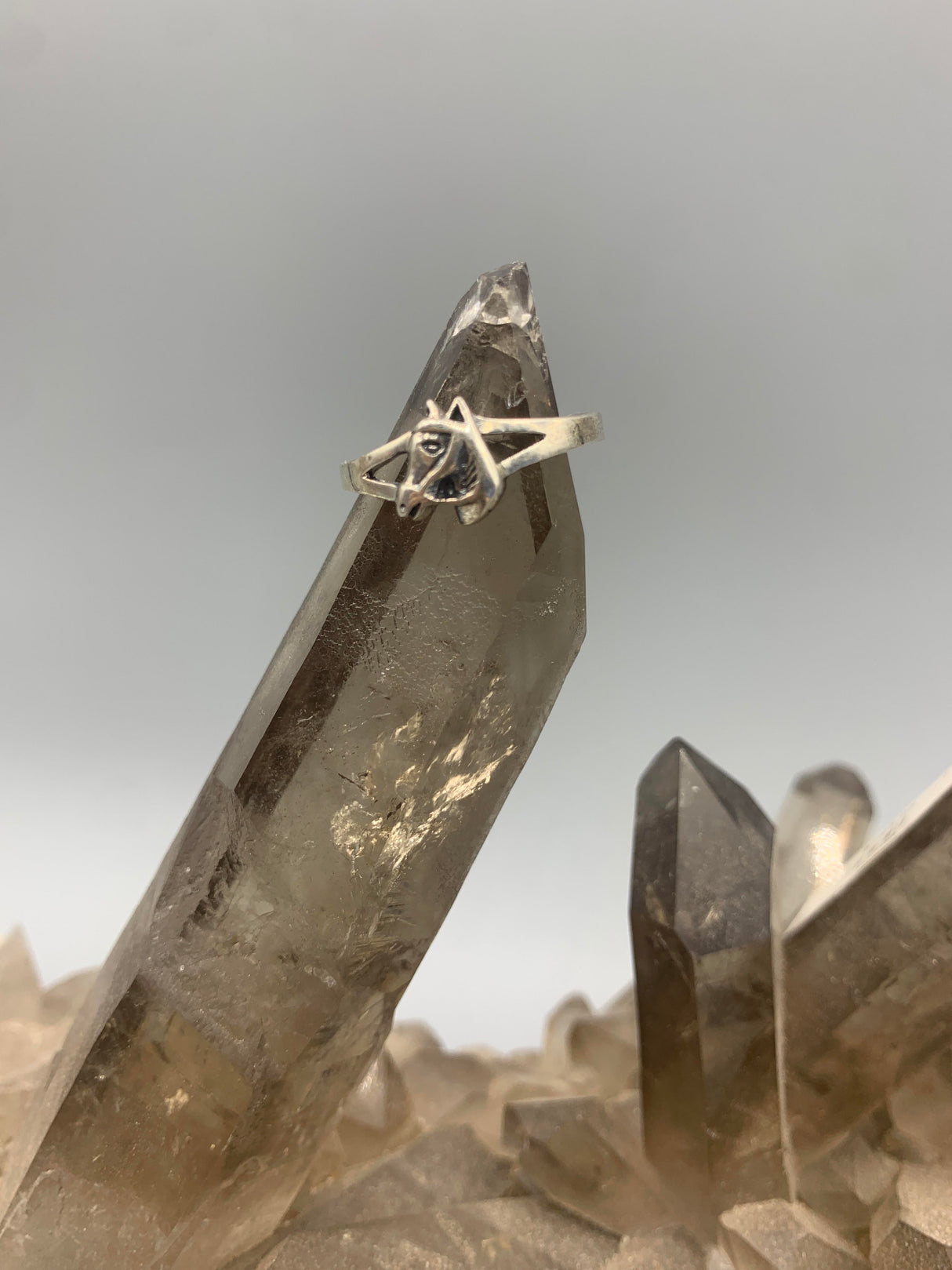 Sterling Silver Horse Ring - Size 8