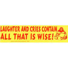 Laughter and Cries - Bumper Sticker