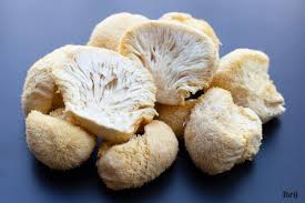 Lion's Mane Mushroom (1 oz)