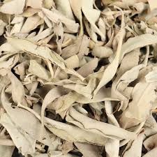Loose White Sage - 1/2 LB