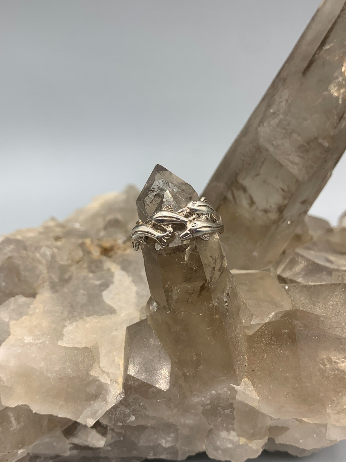 Sterling Silver Petite Dolphin Ring - Size 7