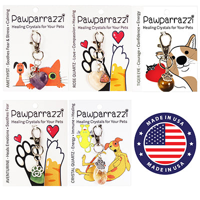 Pawparrazzi Pet Gem Charms