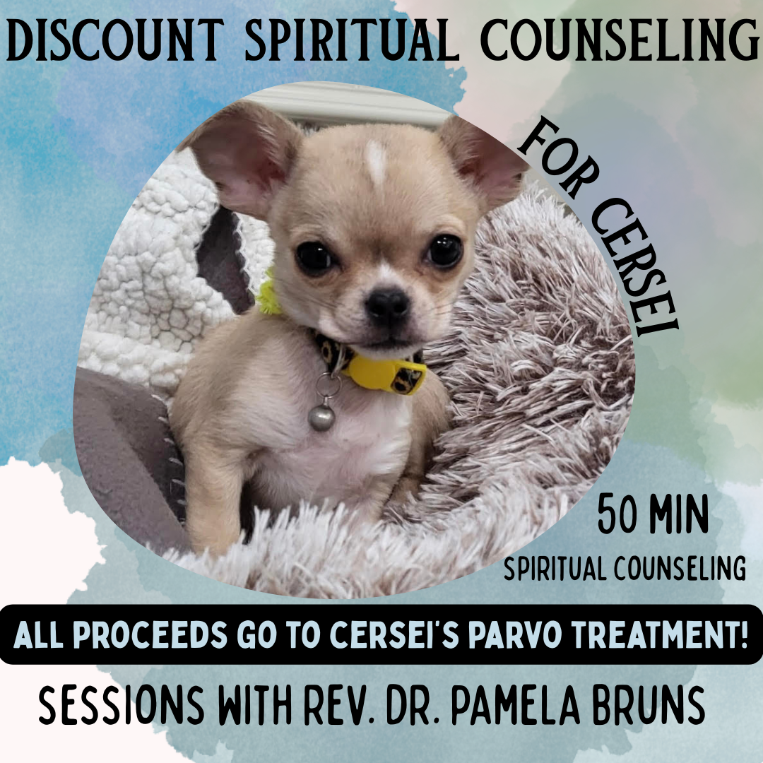 Discount Spiritual Counseling - 50 Min Spiritual Counseling