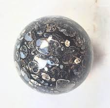 Turritella Agate Sphere
