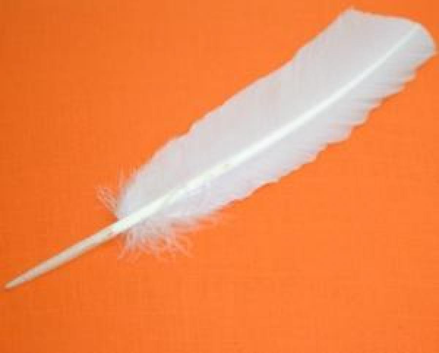White Feather (10-12")