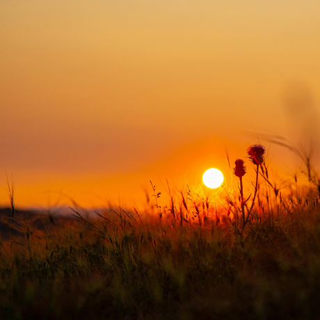 Rethinking Relaxation: Three Ways to Quiet Your Mind