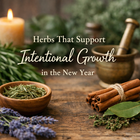 Herbs That Support Intentional Growth in the New Year