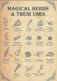 Top 10 Herbal Remedies!