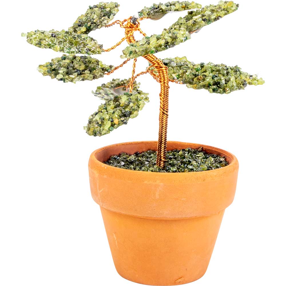 Peridot Bonsai Tree w/ Pot (4"H)