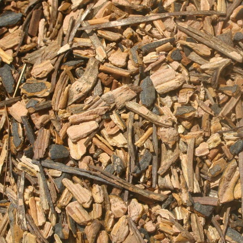 Sarsaparilla Root Organic