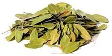 Bearberry - Cut (1oz)