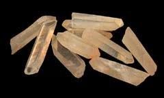 Golden Healer Lemurian - X-Small