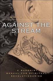 Against The Stream - Noah Levine