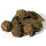 High John Root - Whole (1oz)