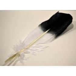 Eagle Feather (imitation)