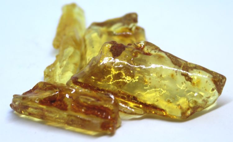 Amber Light Columbia