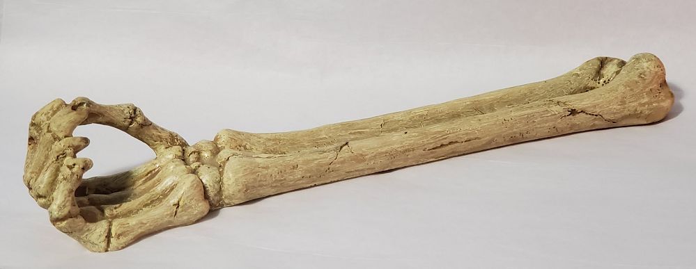 Skeleton Arm - Incense Burner (10.5"L)